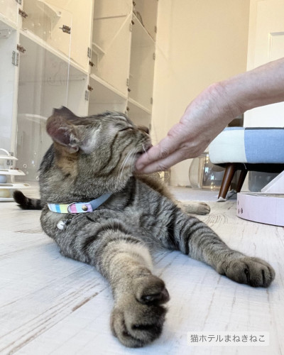 line_oa_chat_260622_103551.jpeg