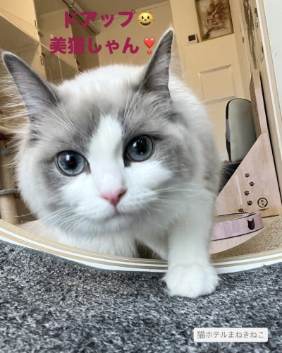 line_oa_chat_260622_103556.jpeg