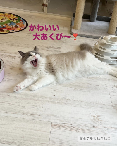 line_oa_chat_260622_103603.jpeg