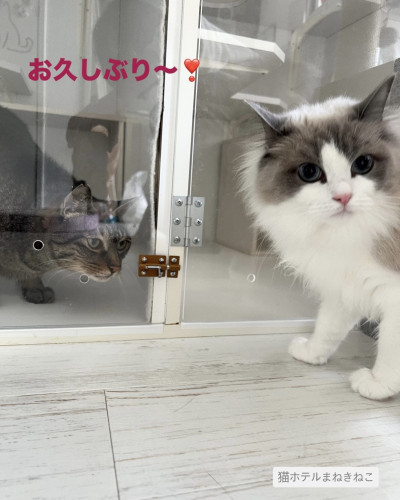 line_oa_chat_260622_103608.jpeg