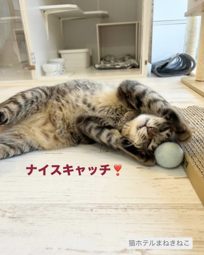 line_oa_chat_260623_093927.jpeg