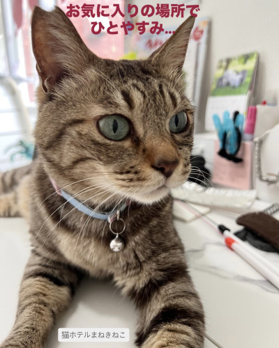line_oa_chat_260623_093930.jpeg