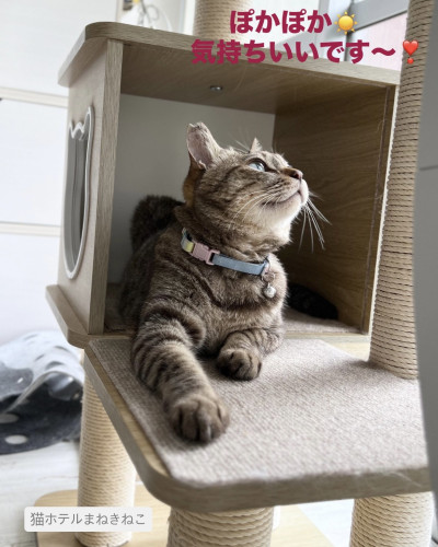 line_oa_chat_260625_103139.jpeg