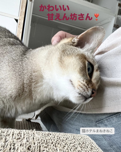 line_oa_chat_260628_131305.jpeg