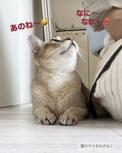 line_oa_chat_260630_132253.jpeg