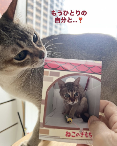 line_oa_chat_260703_110805.jpeg