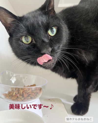 line_oa_chat_260704_105433.jpeg