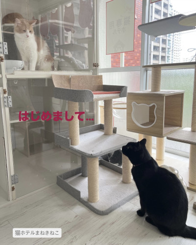 line_oa_chat_260705_112411.jpeg