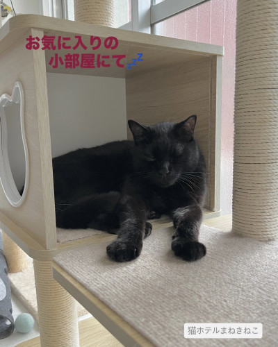 line_oa_chat_260706_113728.jpeg