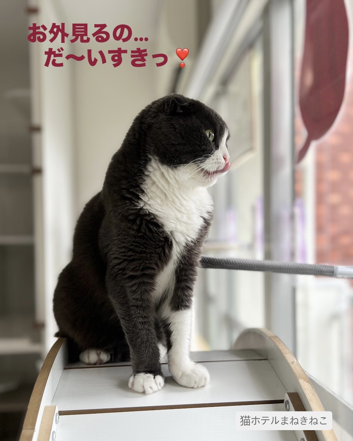 line_oa_chat_260709_114827.jpeg