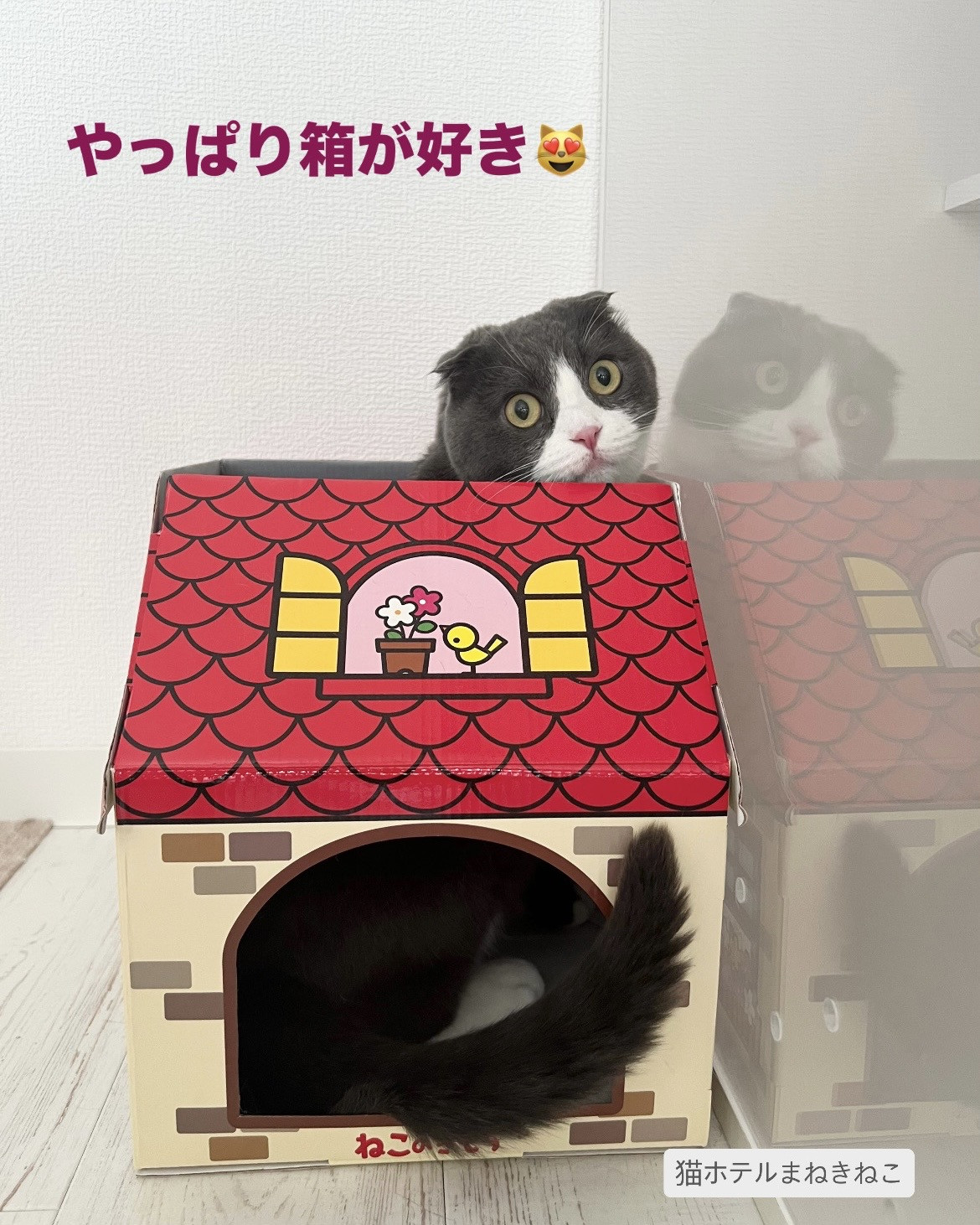 line_oa_chat_260711_111159.jpeg