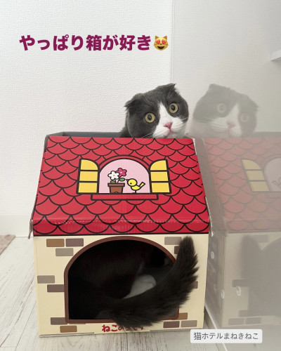 line_oa_chat_260711_111159.jpeg