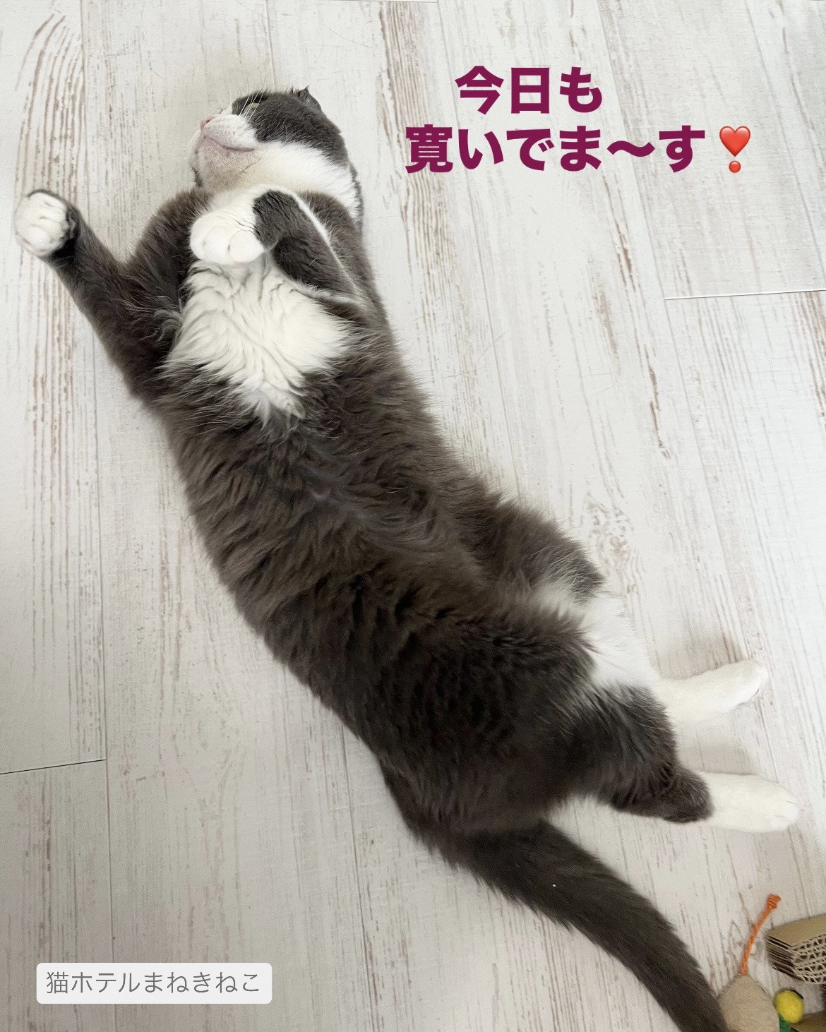 line_oa_chat_260712_105410.jpeg