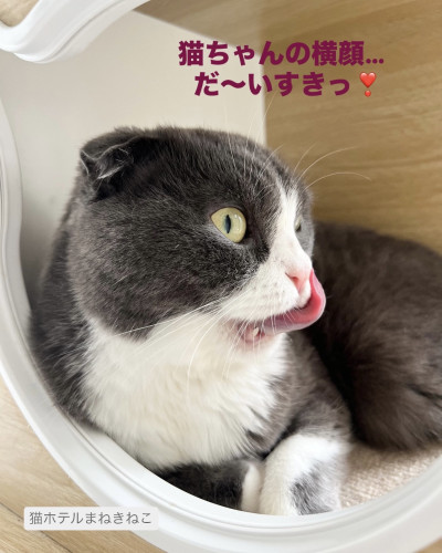 line_oa_chat_260714_152711.jpeg
