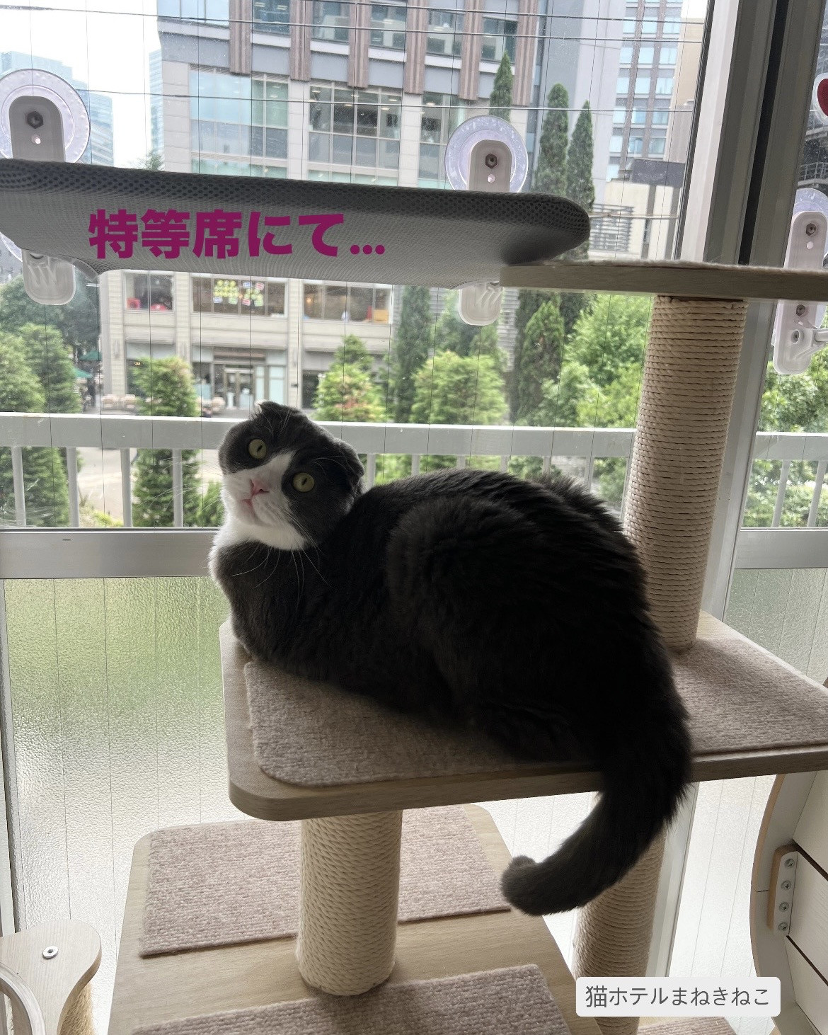 line_oa_chat_260716_102003.jpeg