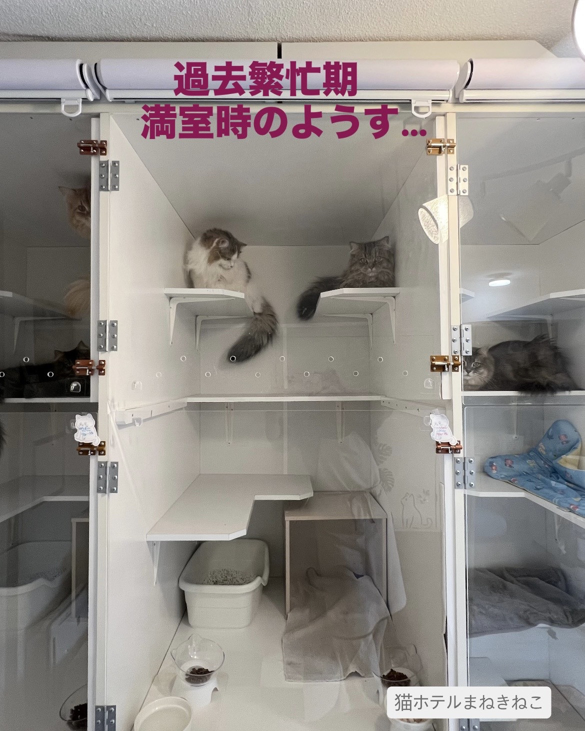 line_oa_chat_260718_100448.jpeg