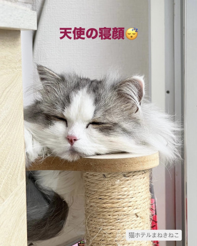 line_oa_chat_260725_100351.jpeg