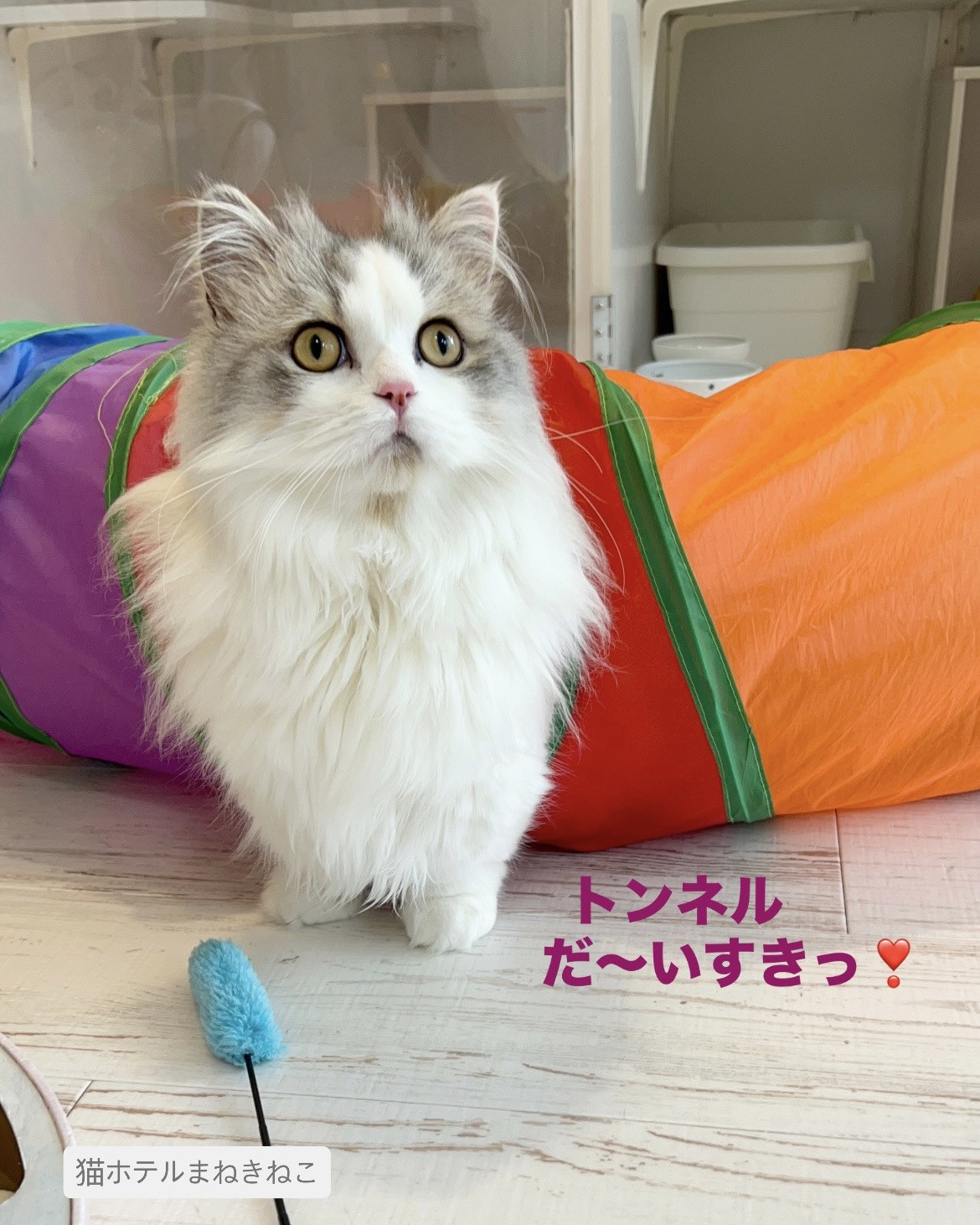 line_oa_chat_260726_101508.jpeg