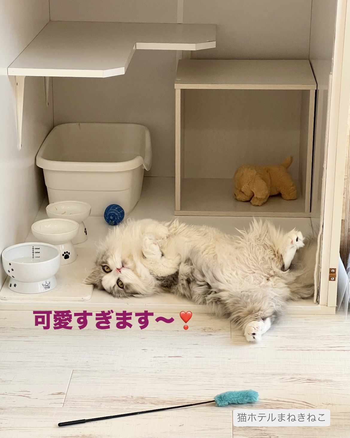 line_oa_chat_260727_105728.jpeg