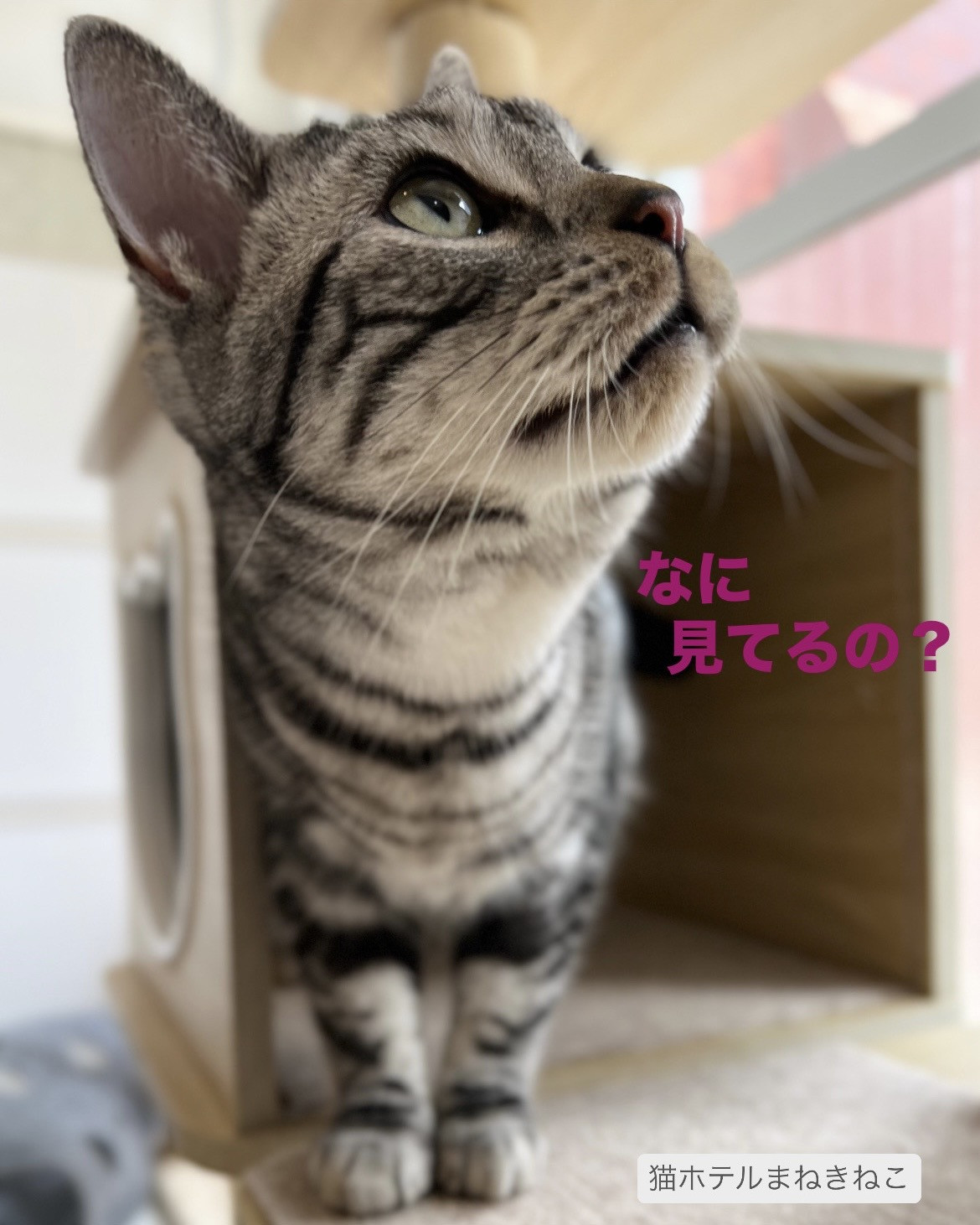 line_oa_chat_260729_100410.jpeg