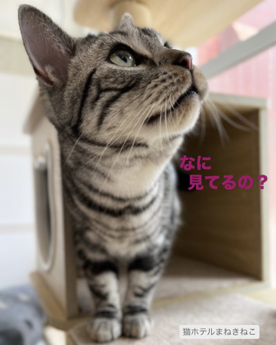 line_oa_chat_260729_100410.jpeg