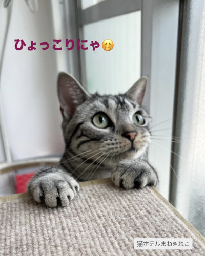 line_oa_chat_260802_113834.jpeg