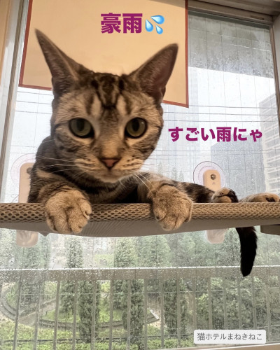 line_oa_chat_260803_095942.jpeg