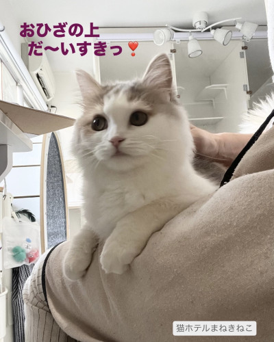 line_oa_chat_260807_093307.jpeg