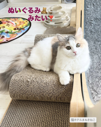 line_oa_chat_260811_114240.jpeg