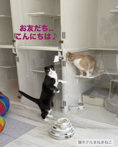 line_oa_chat_260905_094345.jpeg