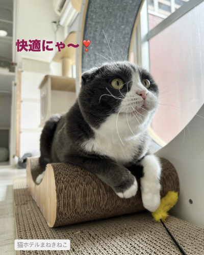 line_oa_chat_260907_093219.jpeg