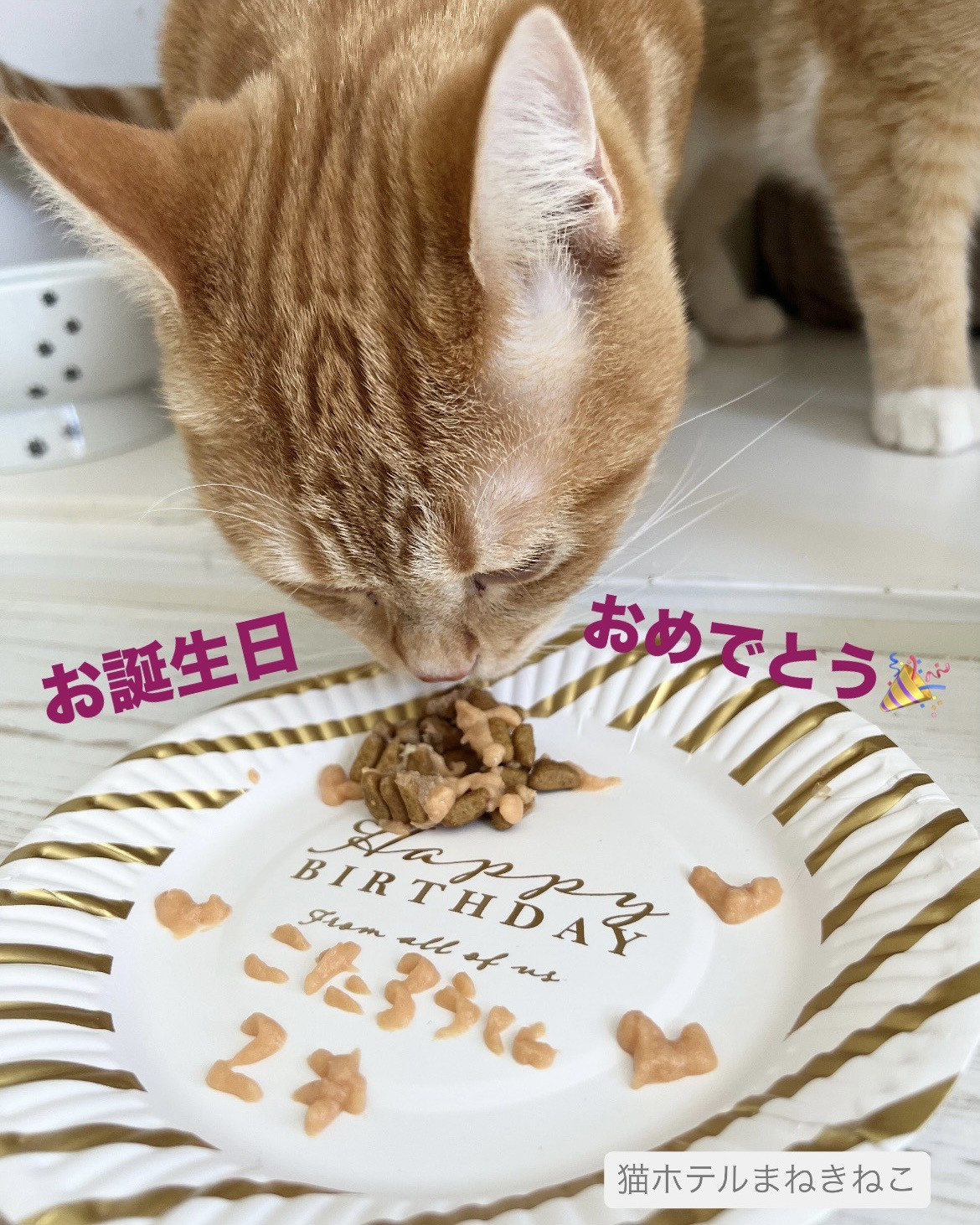 line_oa_chat_260912_113446.jpeg