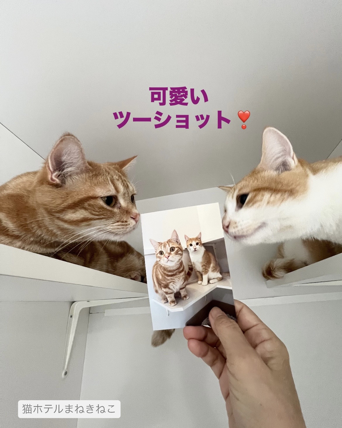 line_oa_chat_260913_092800.jpeg