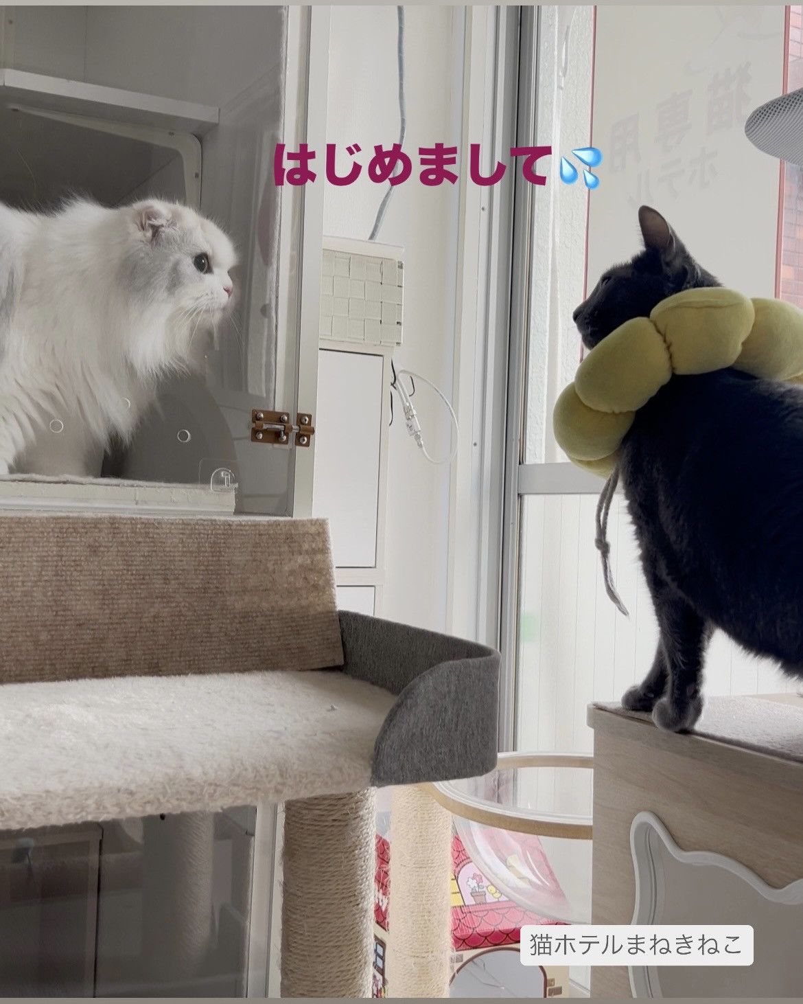 line_oa_chat_260914_093027.jpeg