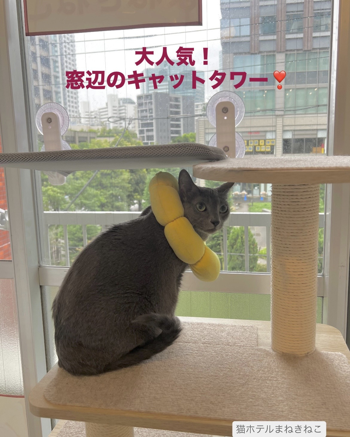 line_oa_chat_260917_094520.jpeg