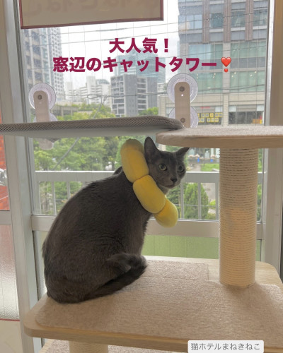 line_oa_chat_260917_094520.jpeg