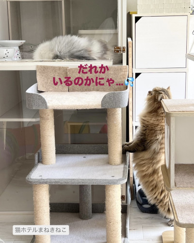 line_oa_chat_260918_113954.jpeg