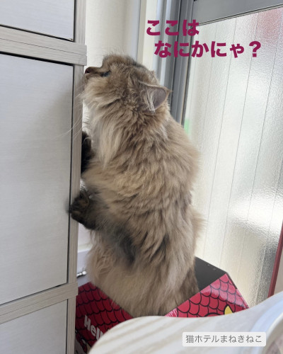 line_oa_chat_260919_094302.jpeg