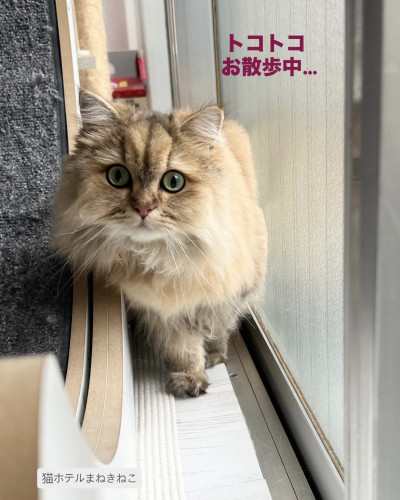 line_oa_chat_260921_101705.jpeg