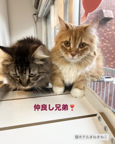 line_oa_chat_260922_095621.jpeg