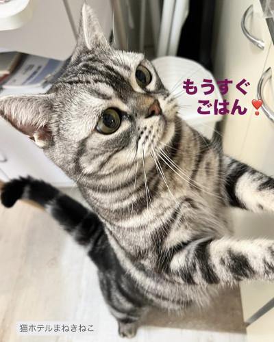 line_oa_chat_260926_113840.jpeg