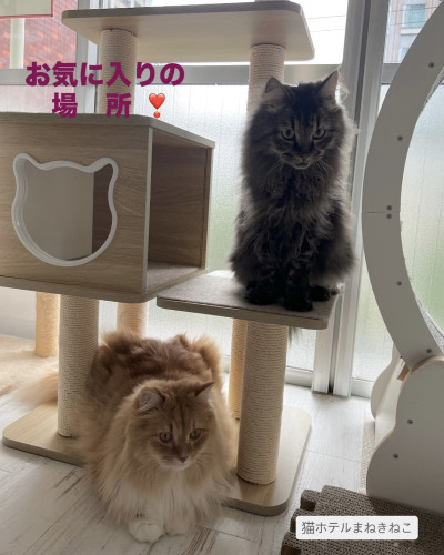 line_oa_chat_260926_114125.jpeg