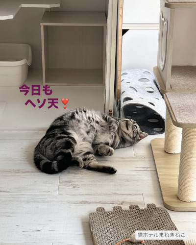 line_oa_chat_260928_132920.jpeg