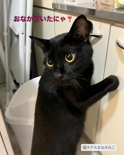line_oa_chat_260930_111836.jpeg