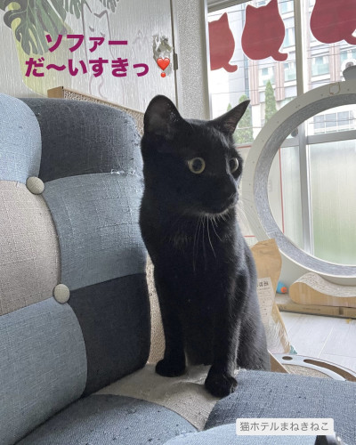 line_oa_chat_260930_132102.jpeg