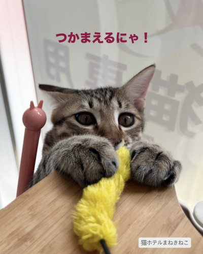 line_oa_chat_261004_094327.jpeg