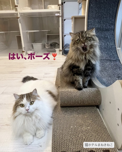line_oa_chat_261011_104341.jpeg