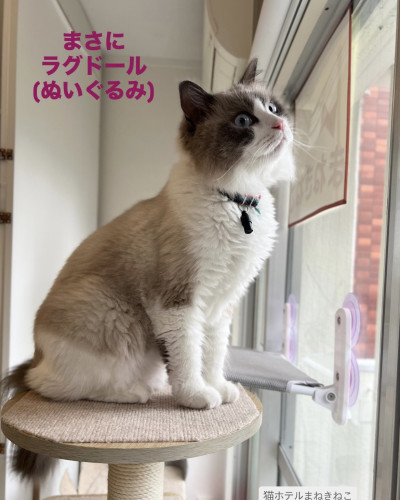 line_oa_chat_261012_111649.jpeg