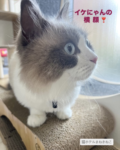 line_oa_chat_261015_114516.jpeg