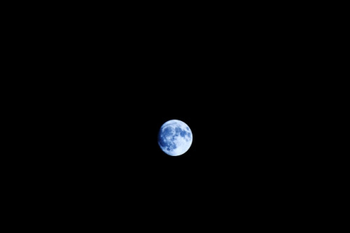 月明り.jpg